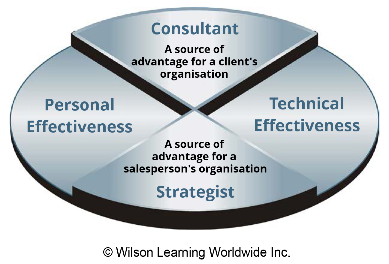 The Consultant/Strategist Model