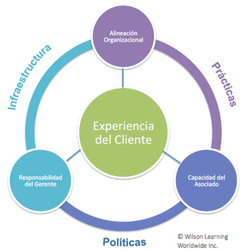 The Customer Experience Trust Map