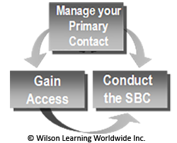 Conducting Strategic Business Calls