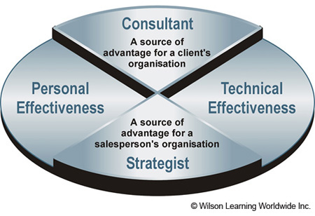 The Consultant/Strategist Model