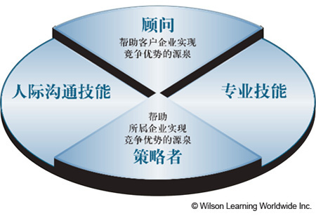 The Consultant/Strategist Model