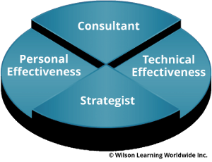Consultant-Strategist Model