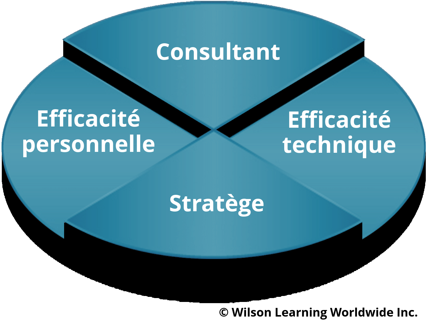 Consultant-Strategist Model
